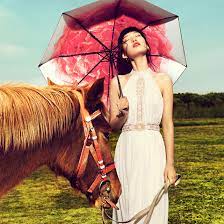 杏宇登錄, 杏宇登錄中心,