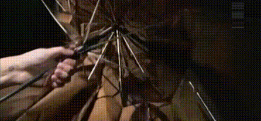 鳳凰杏宇平臺(tái), 杏宇平臺(tái)500平臺(tái),