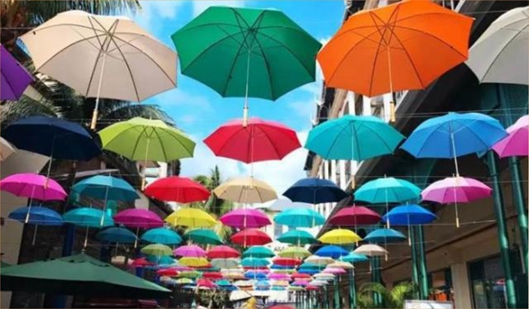 杏宇平臺, 杏宇登錄中心,