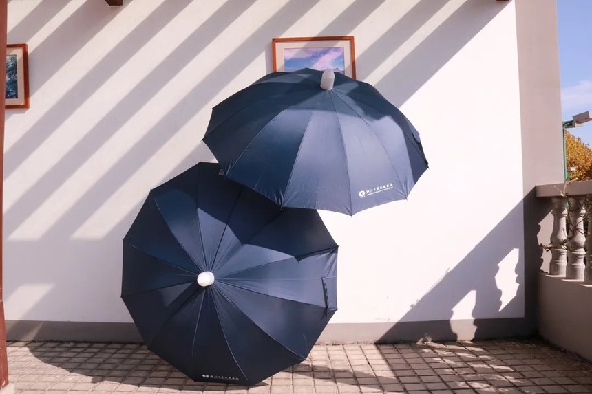 杏宇平臺網址, 金牌杏宇平臺,