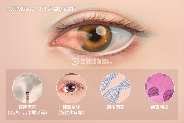 杏宇平臺(tái)注冊(cè)鏈接, 杏宇平臺(tái)官網(wǎng),