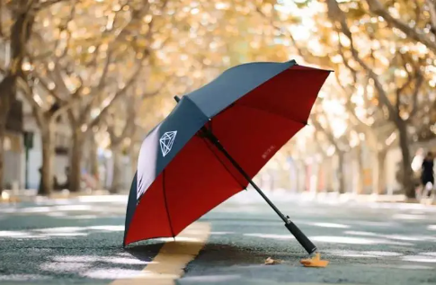 杏宇平臺, 杏宇平臺靠譜嗎,