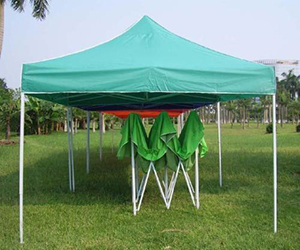 鳳凰杏宇平臺(tái), 杏宇平臺(tái)500平臺(tái),