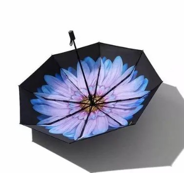 杏宇注冊, 杏宇注冊平臺,