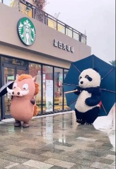 杏宇注冊, 杏宇注冊平臺,