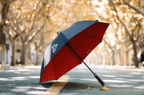 杏宇平臺, 杏宇平臺與杏宇平臺,