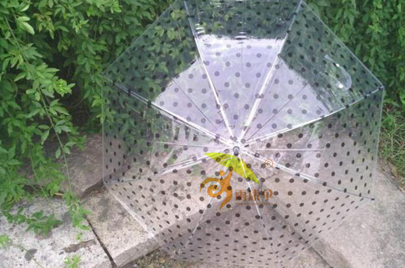 杏宇代理待遇, 鳳凰杏宇代理主管,