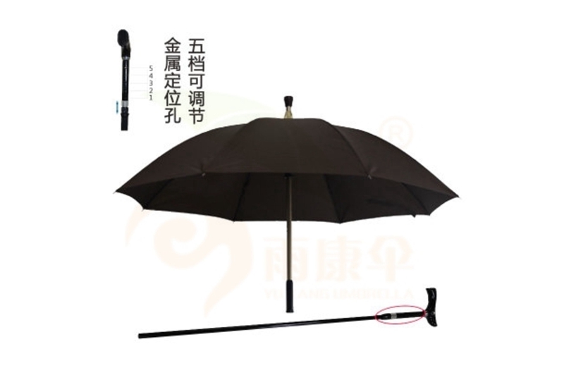 杏宇登錄平臺, 金牌杏宇平臺,